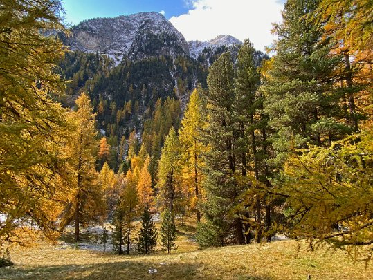 Bever - Spinas Grisons - Suisse